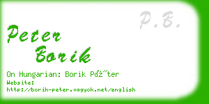 peter borik business card